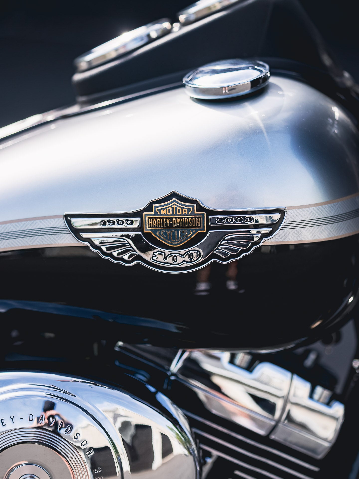 2003 FXDL