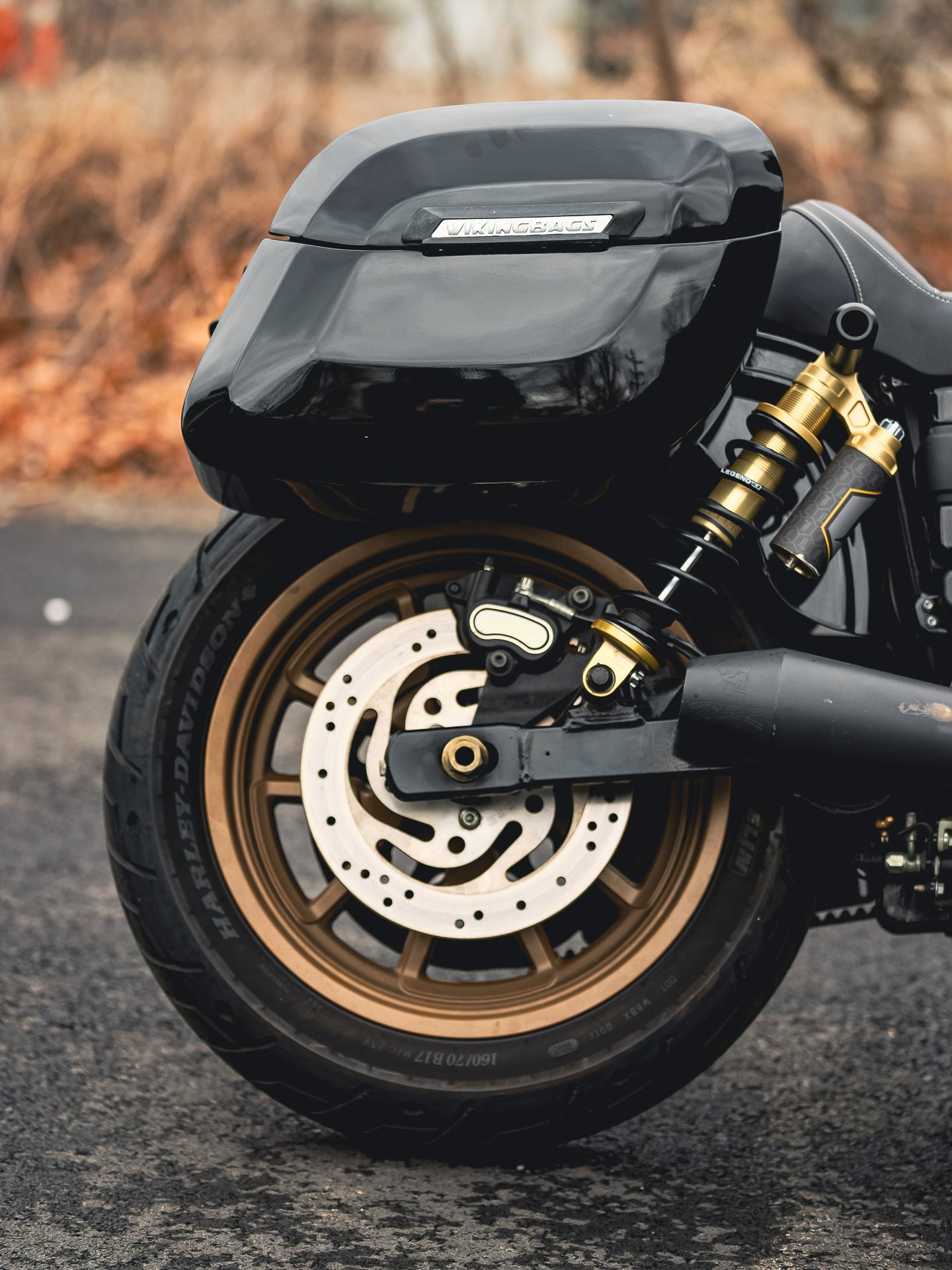 2016 FXDLS