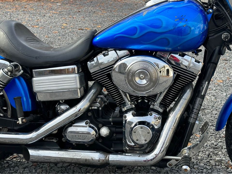 2006 FXDL