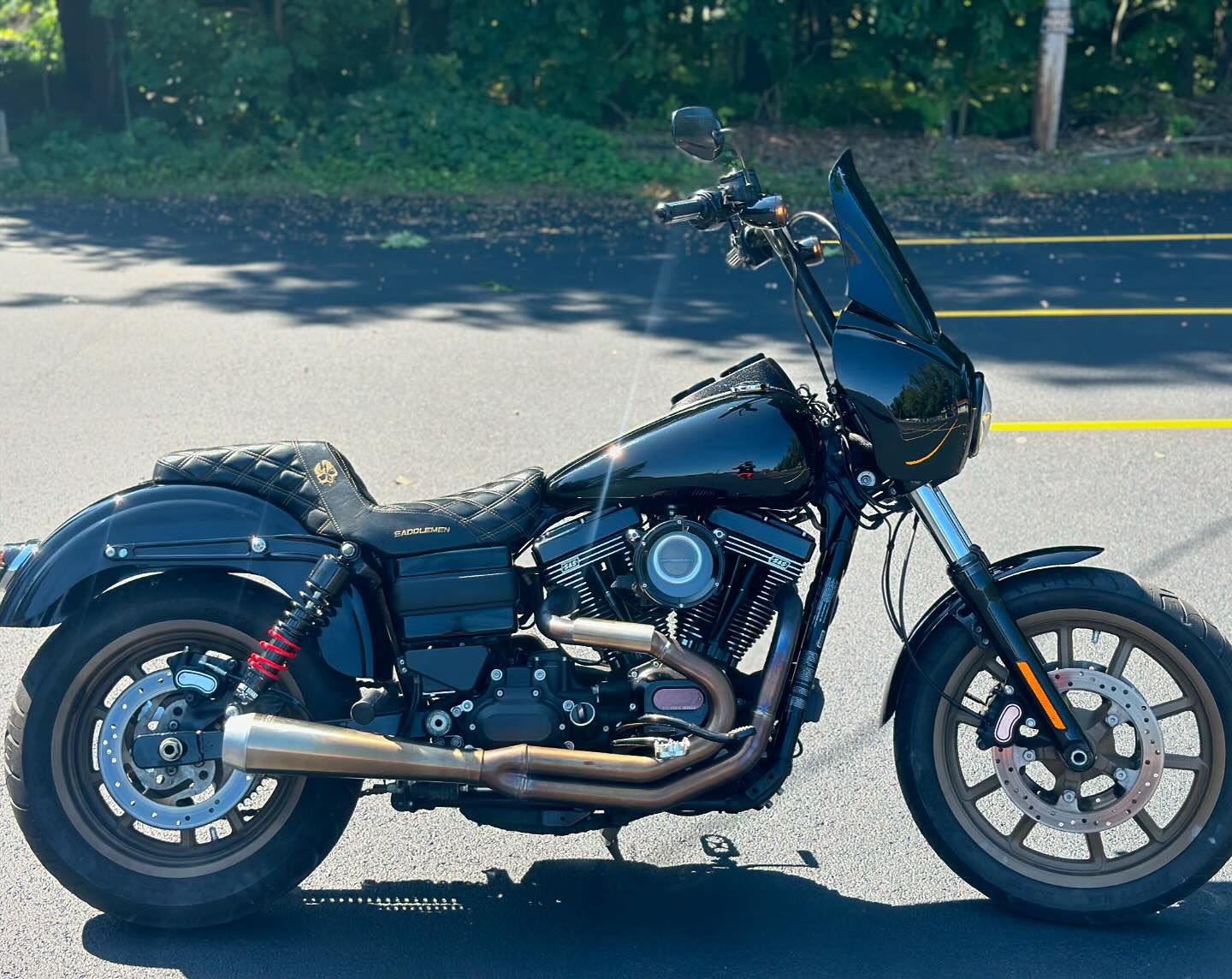 2017 FXDLS S&S 124