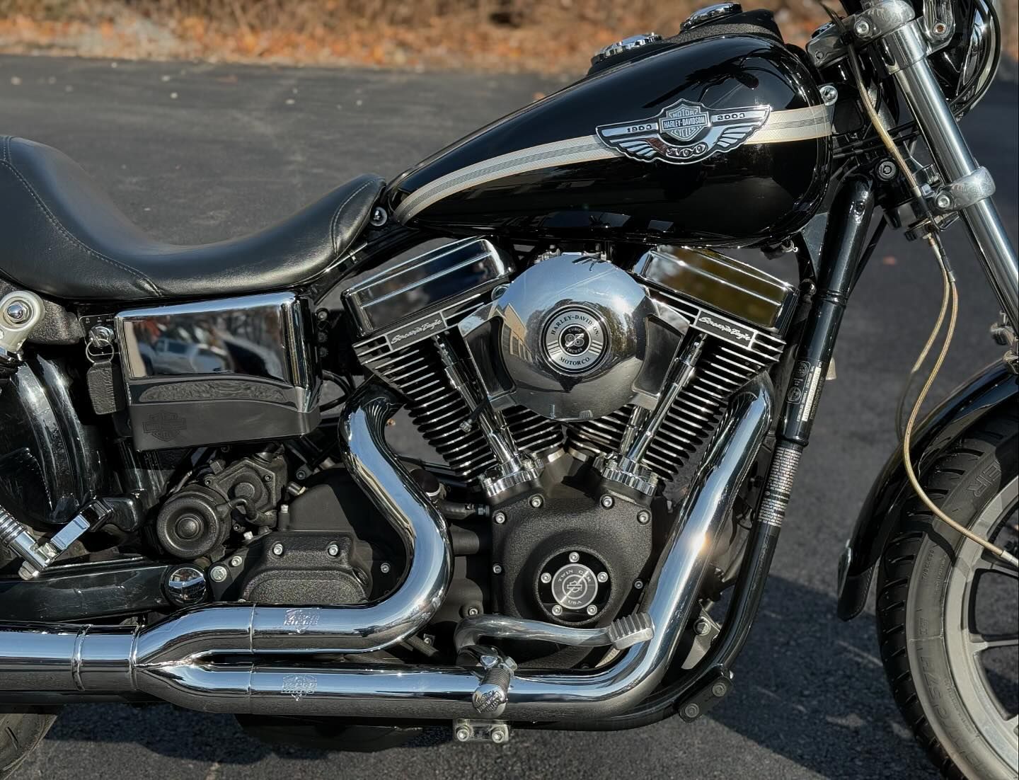 2003 FXDX