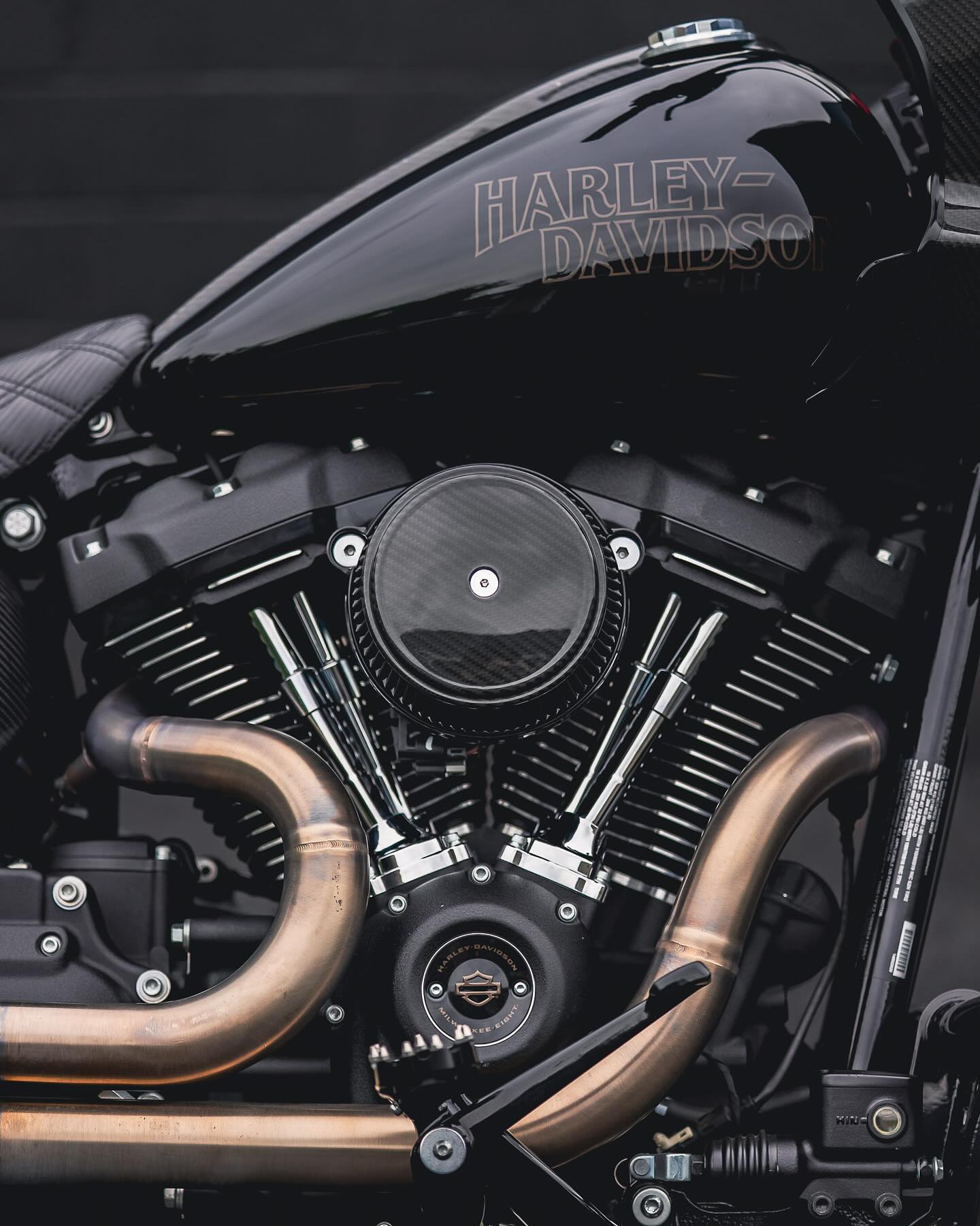2022 CARBON LOW RIDER ST