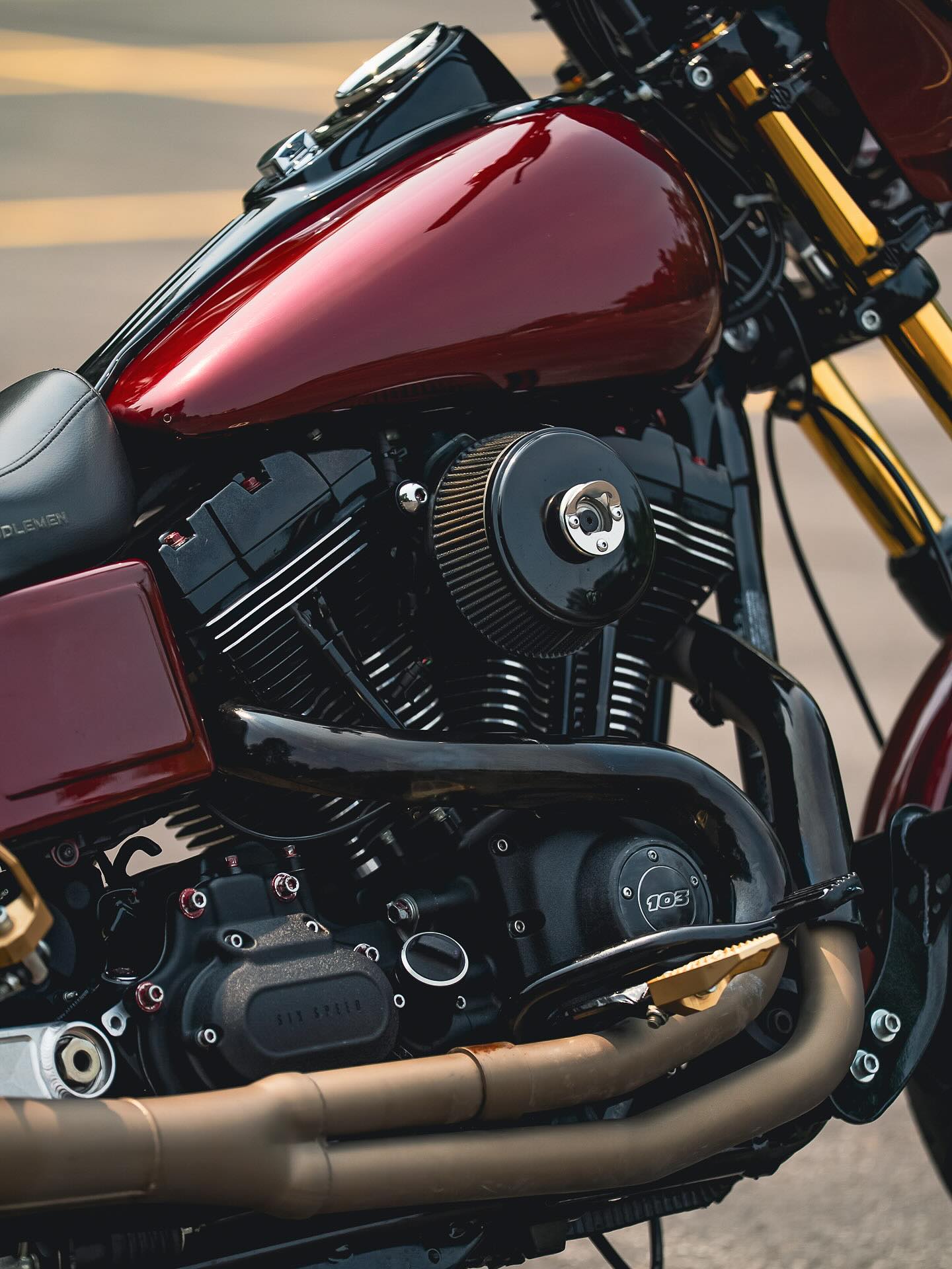 2015 FXDB