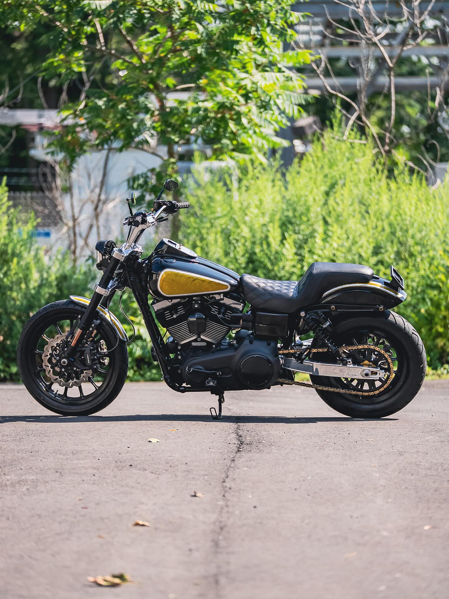 2016 FXDB