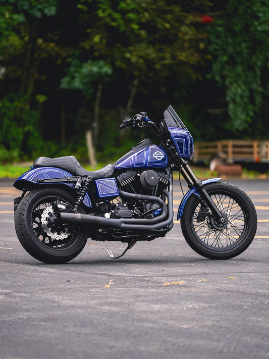 2016 FXDB