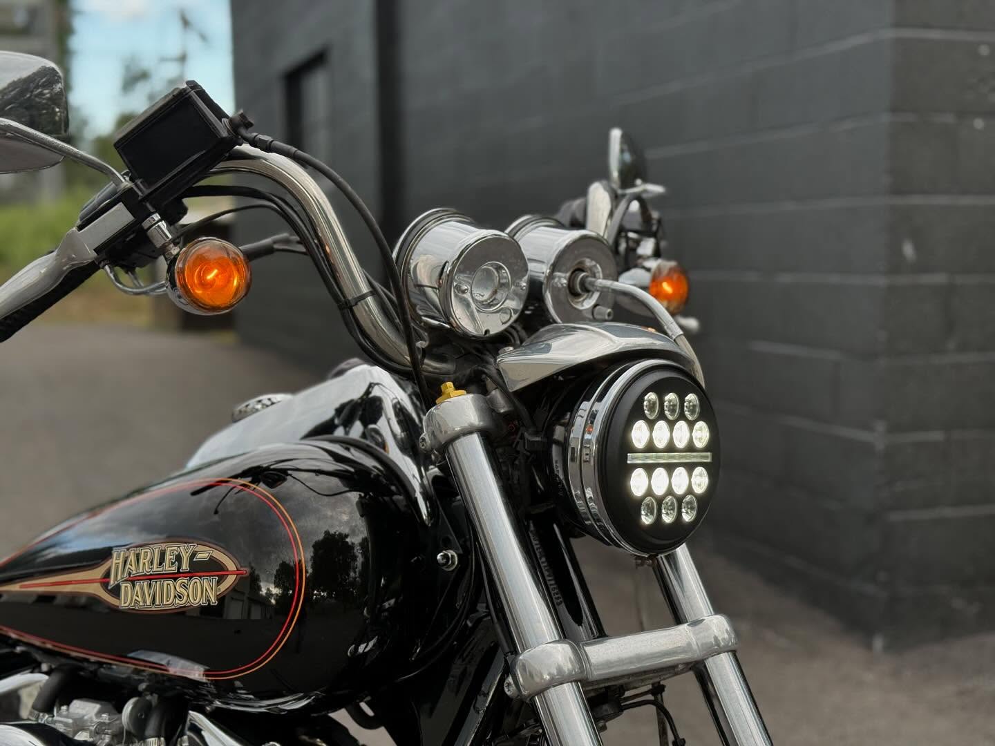 1993 FXR 113"