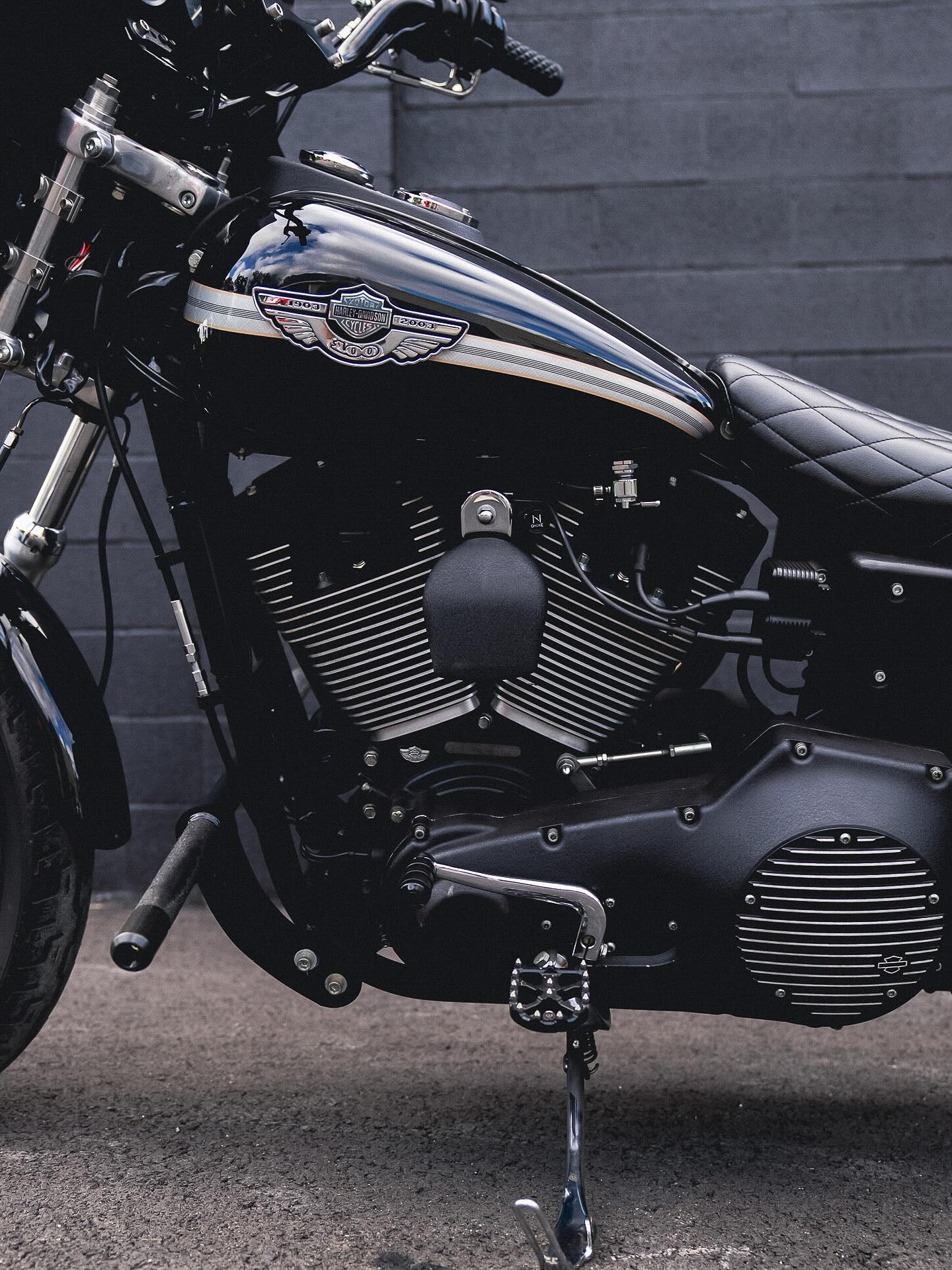 2003 FXDX 100"