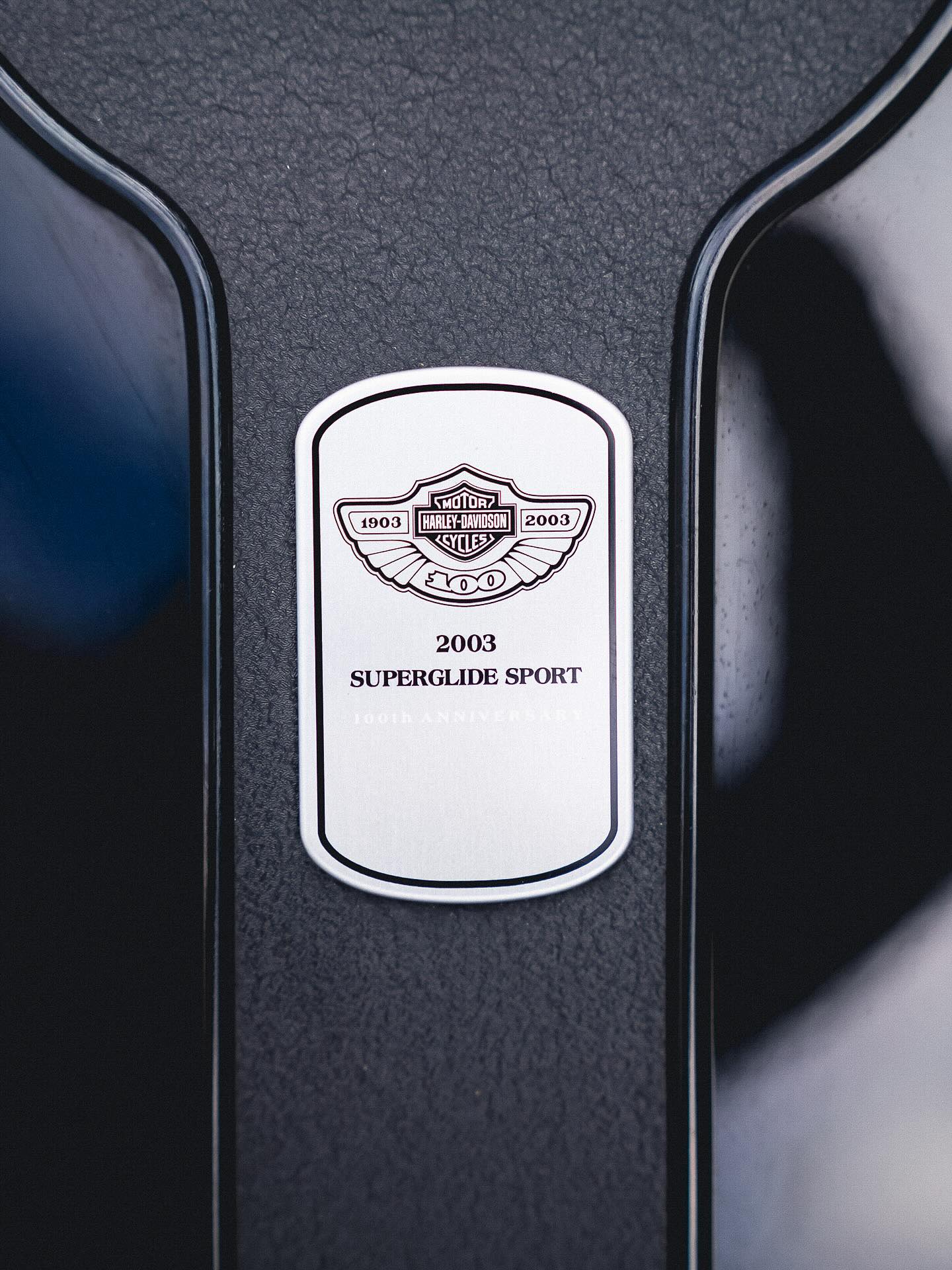 2003 FXDX 100"