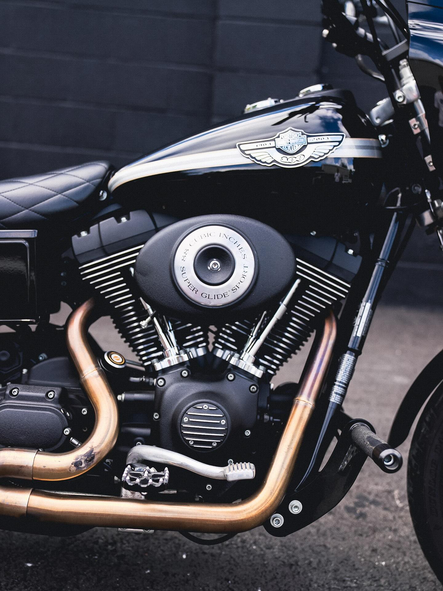 2003 FXDX 100"