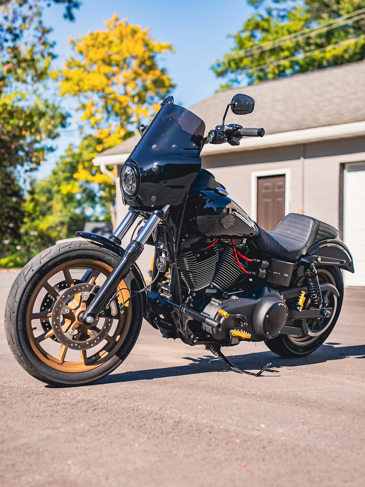 2017 FXDLS