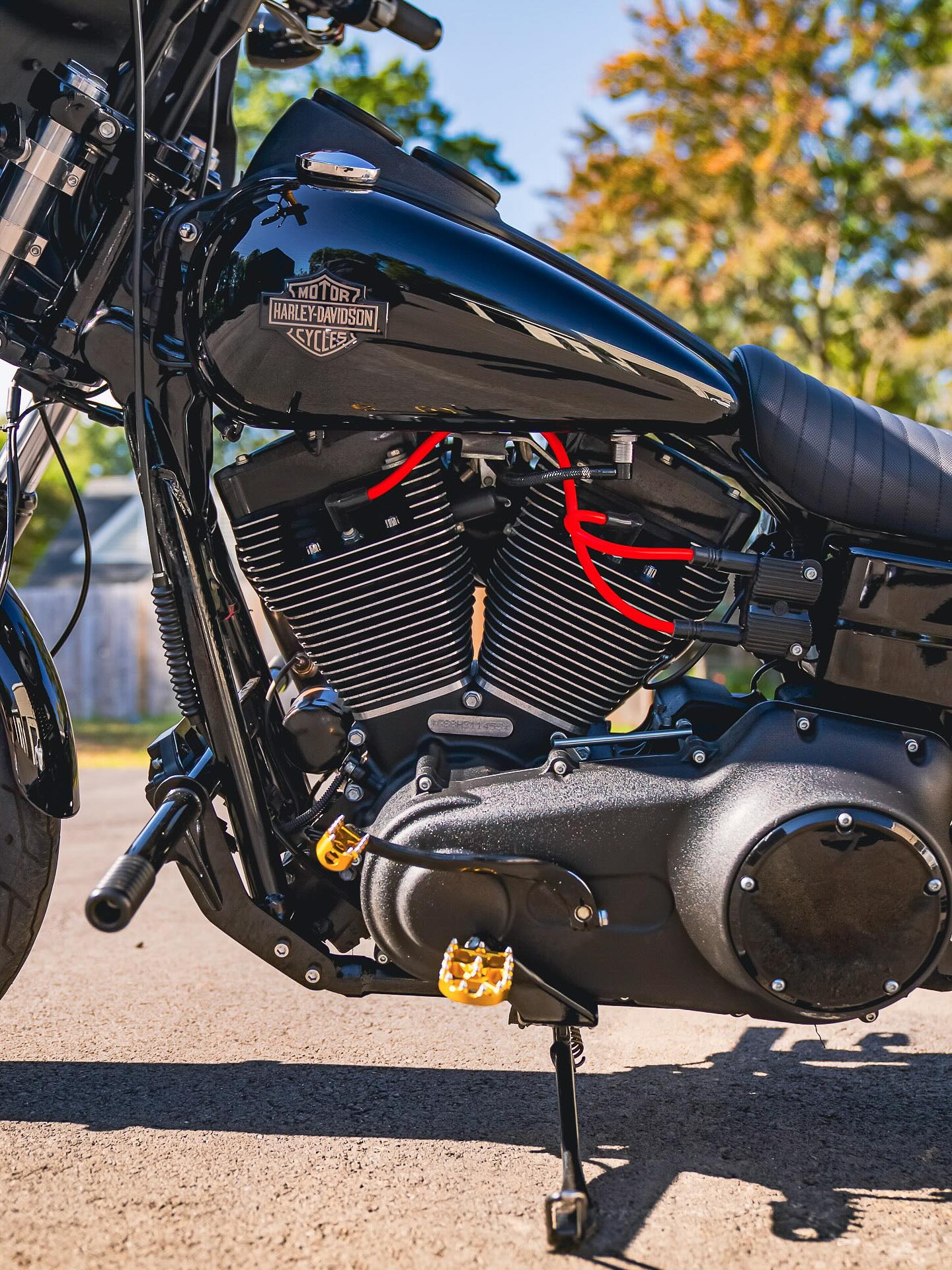 2017 FXDLS