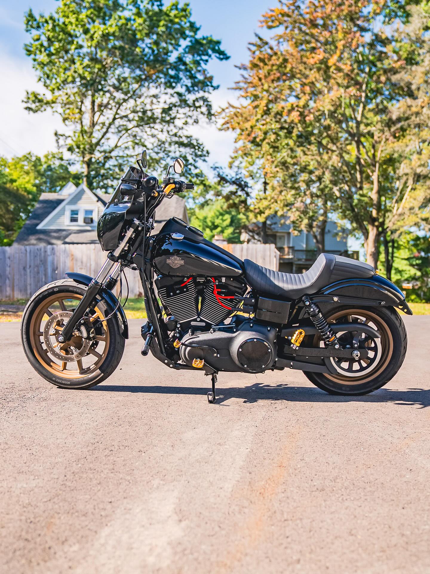 2017 FXDLS