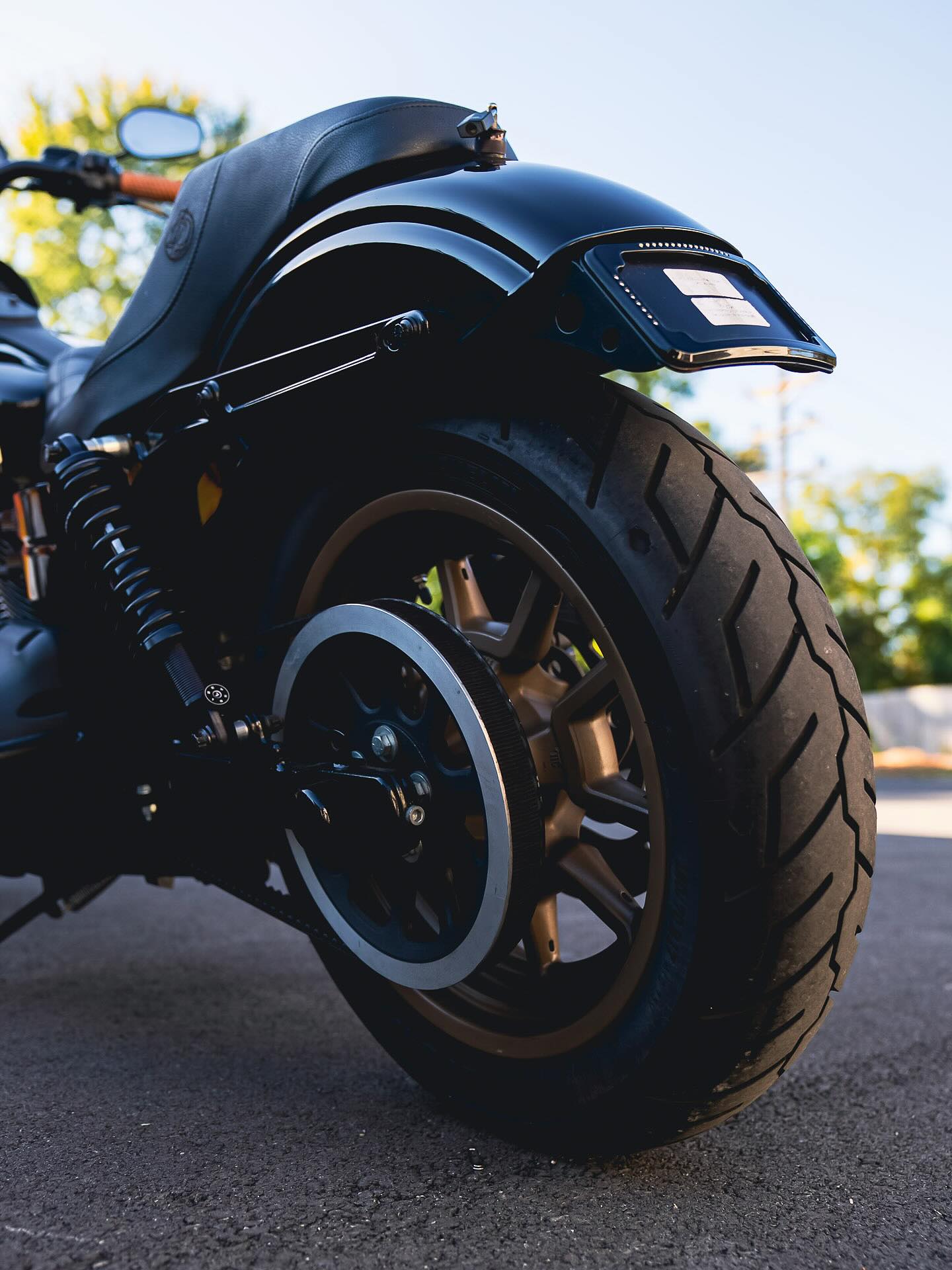 2017 FXDLS 117"