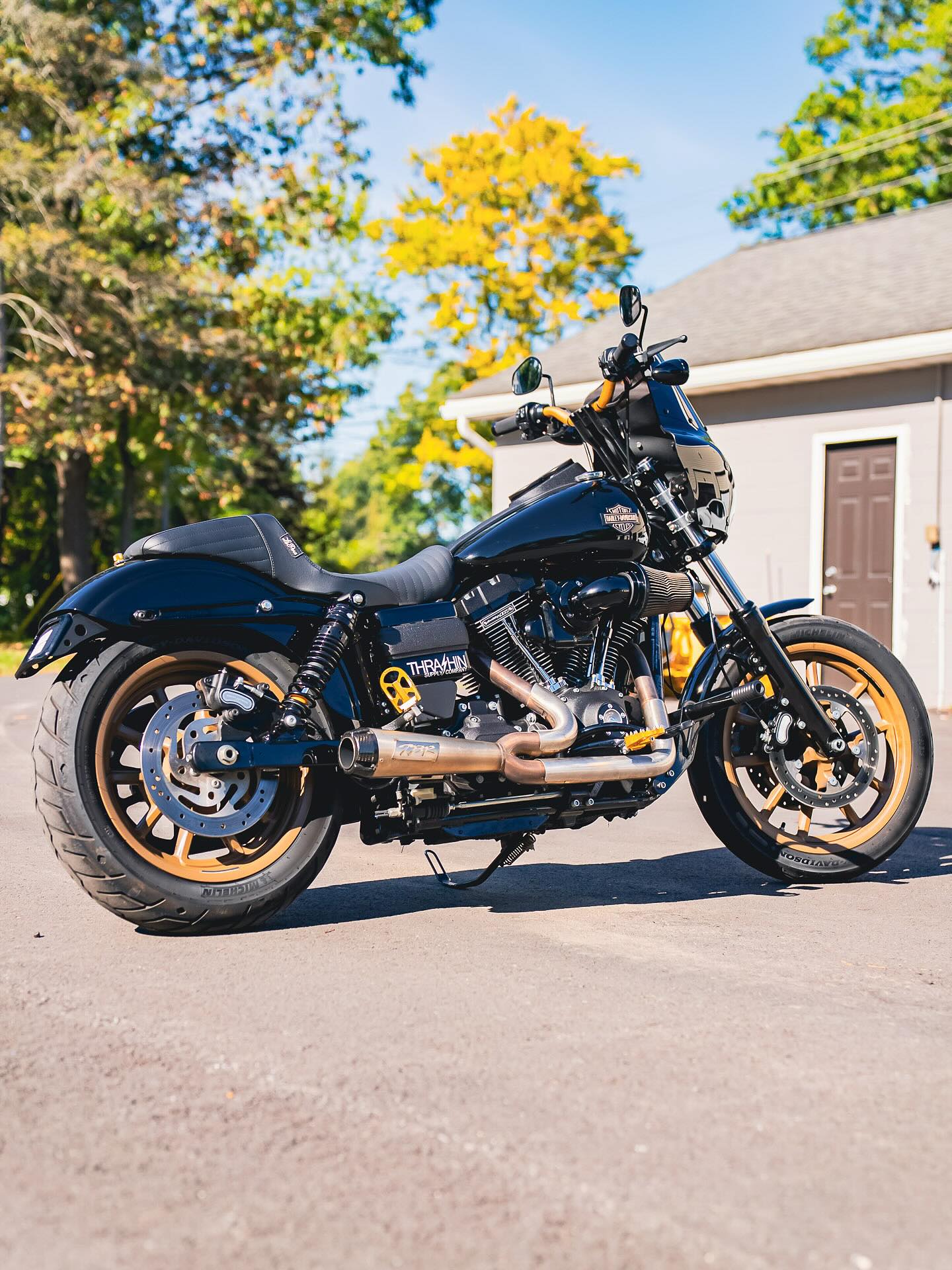2017 FXDLS
