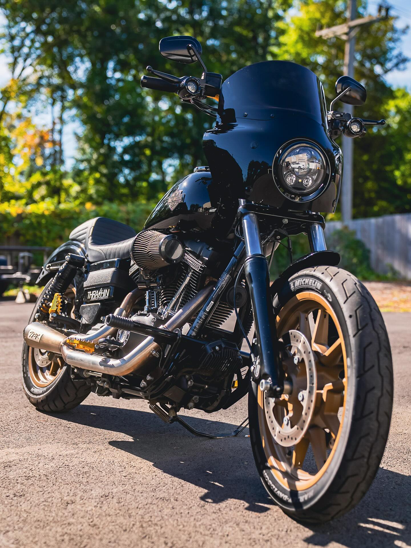 2017 FXDLS