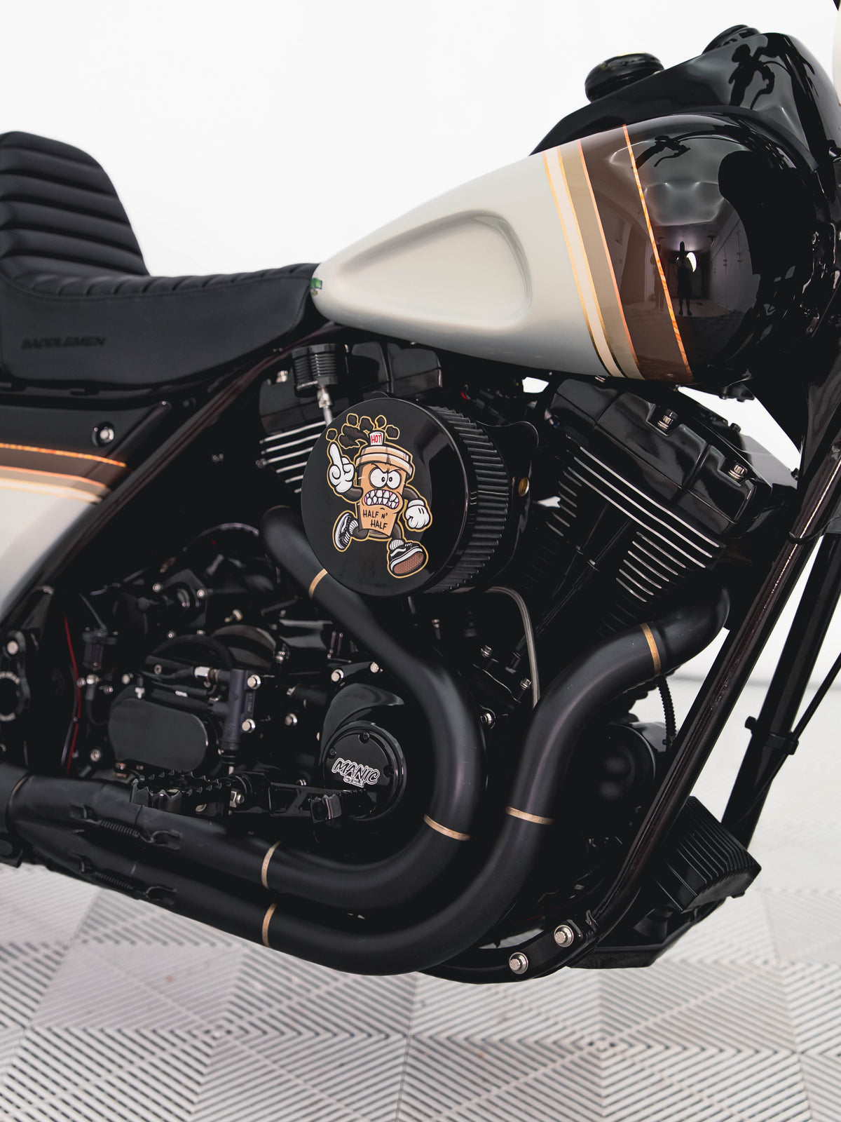 1989 TWIN CAM EFI FXR