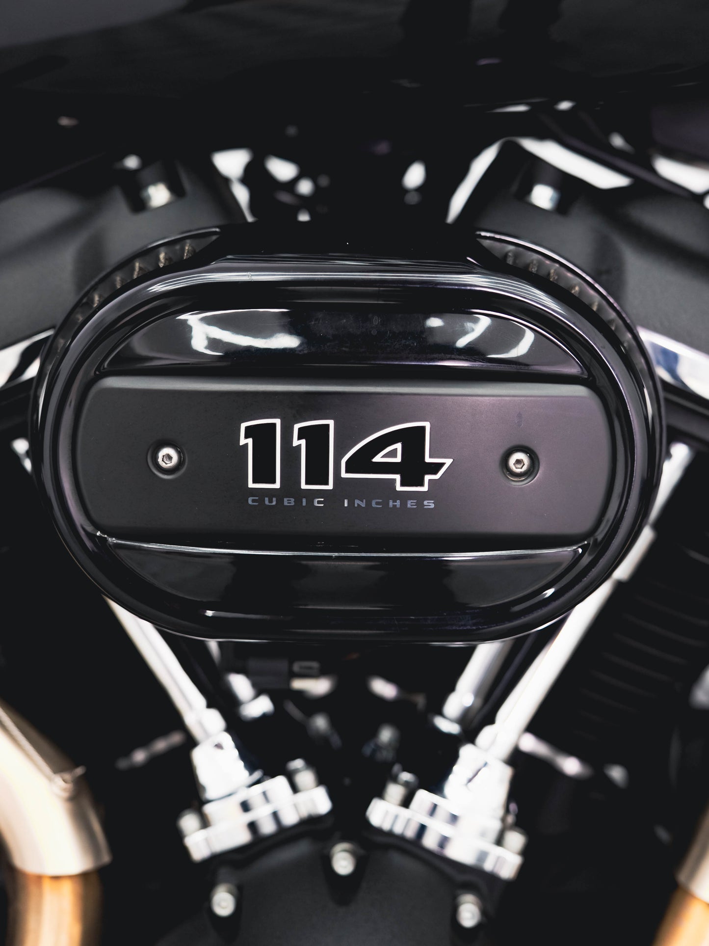 2018 FAT BOB 114"