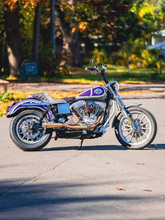 2002 FXD BUILT 98"