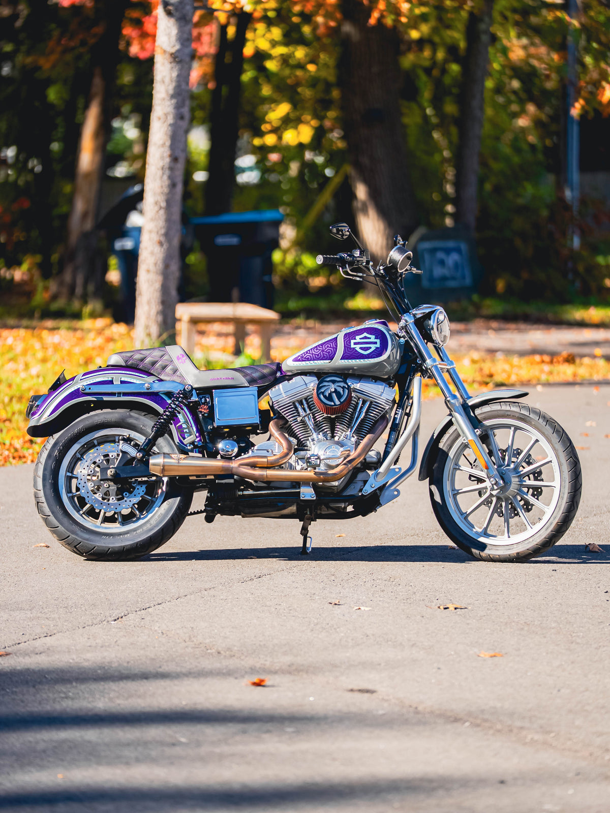 2002 FXD BUILT 98"