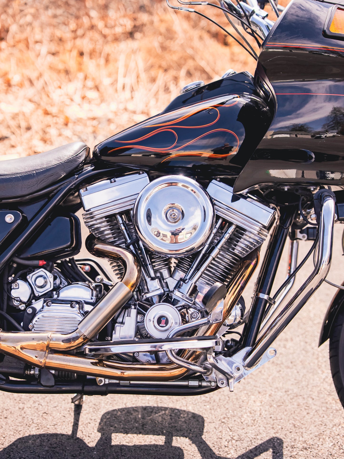 1993 FXR 113" 6 SPEED