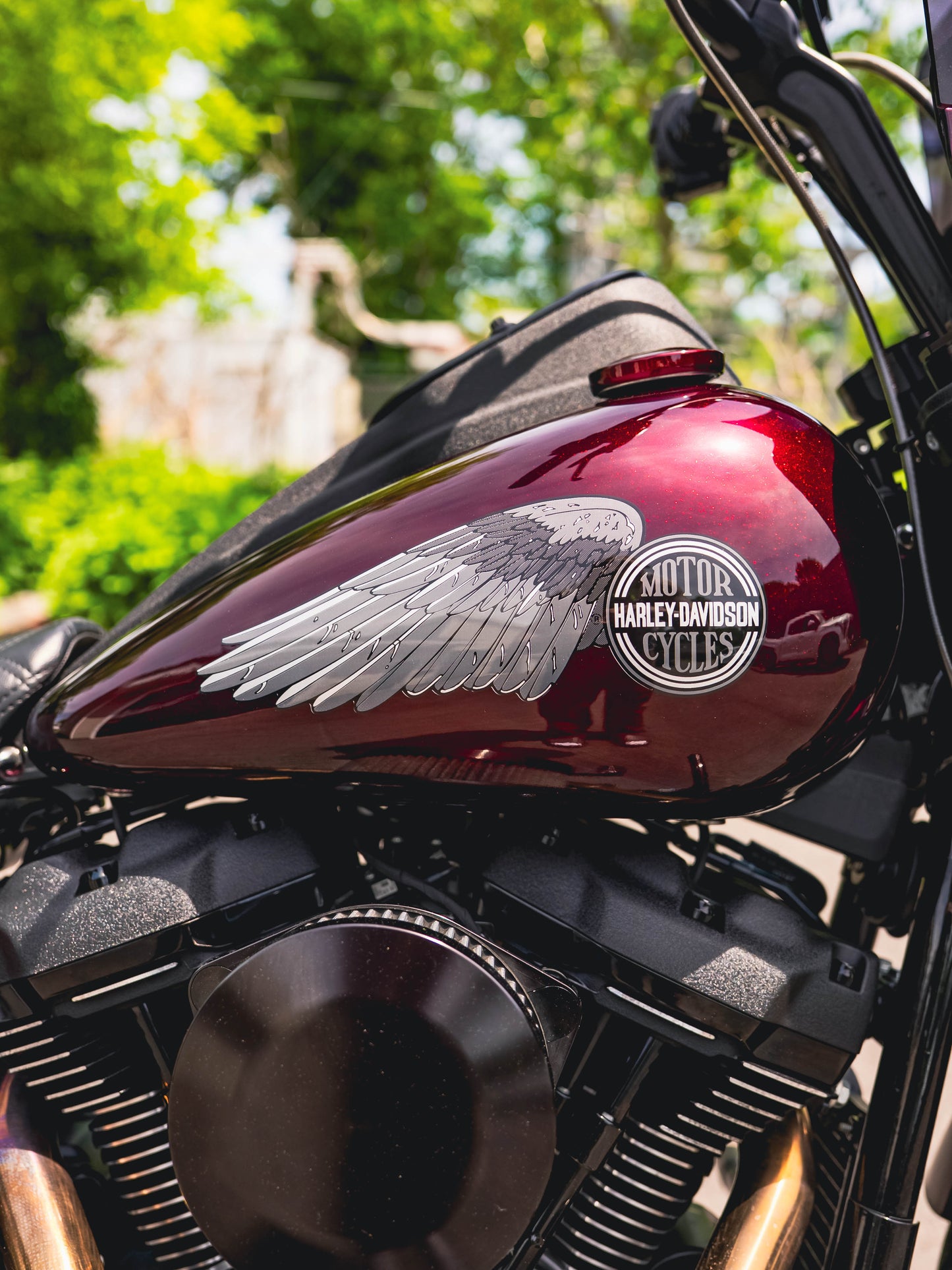 2020 LOW RIDER S CANDY BRANDYWINE