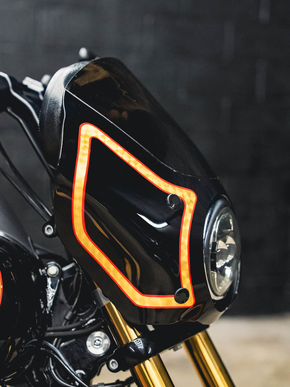 2015 FXDB S&S 110!