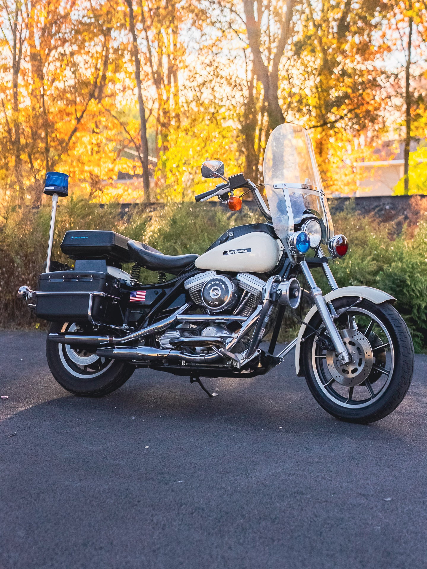 1989 FXRP