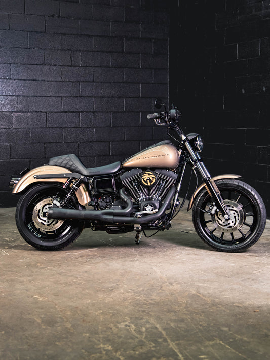 2005 FXDXi SMOKEY GOLD