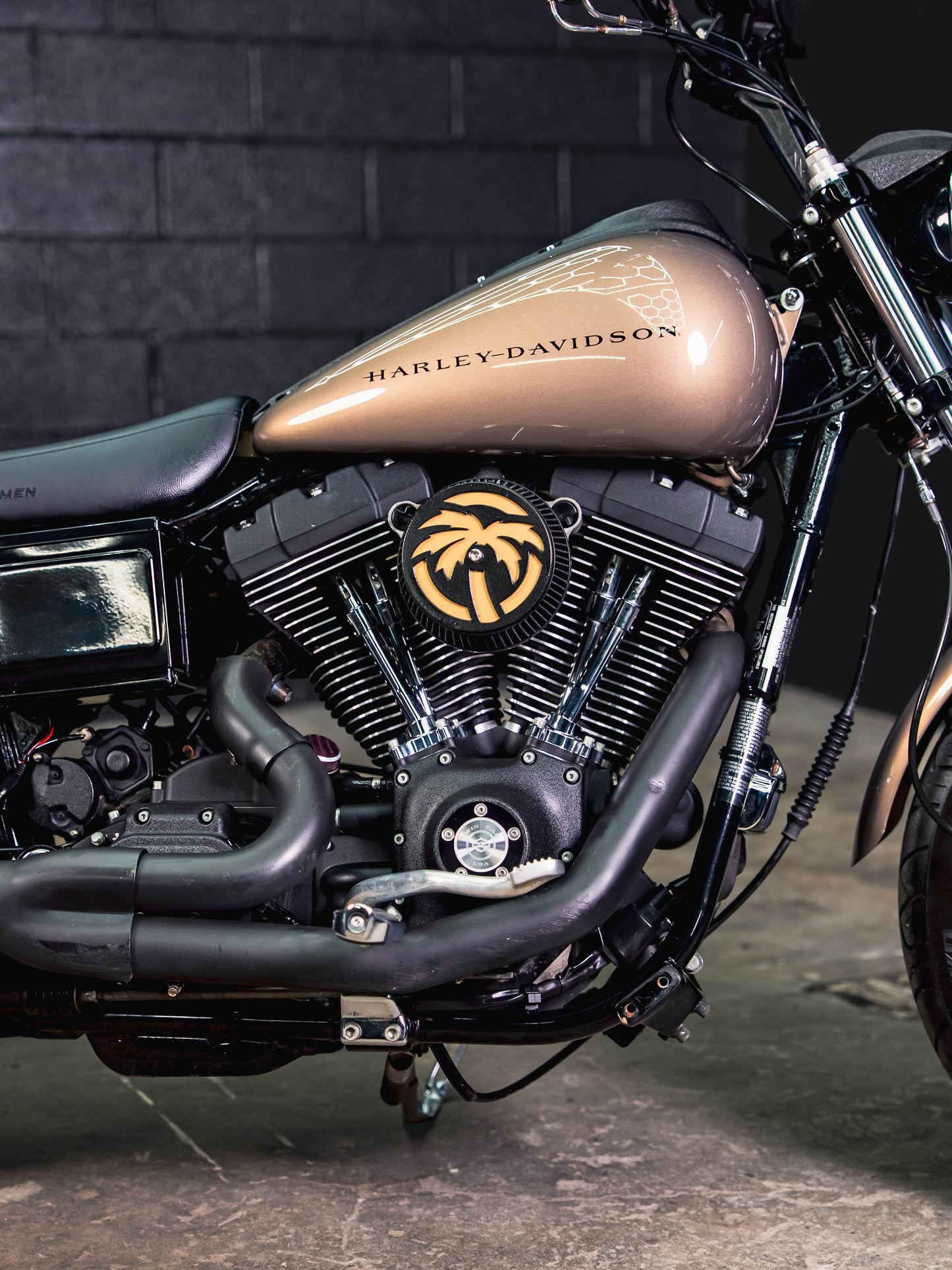 2005 FXDXi SMOKEY GOLD