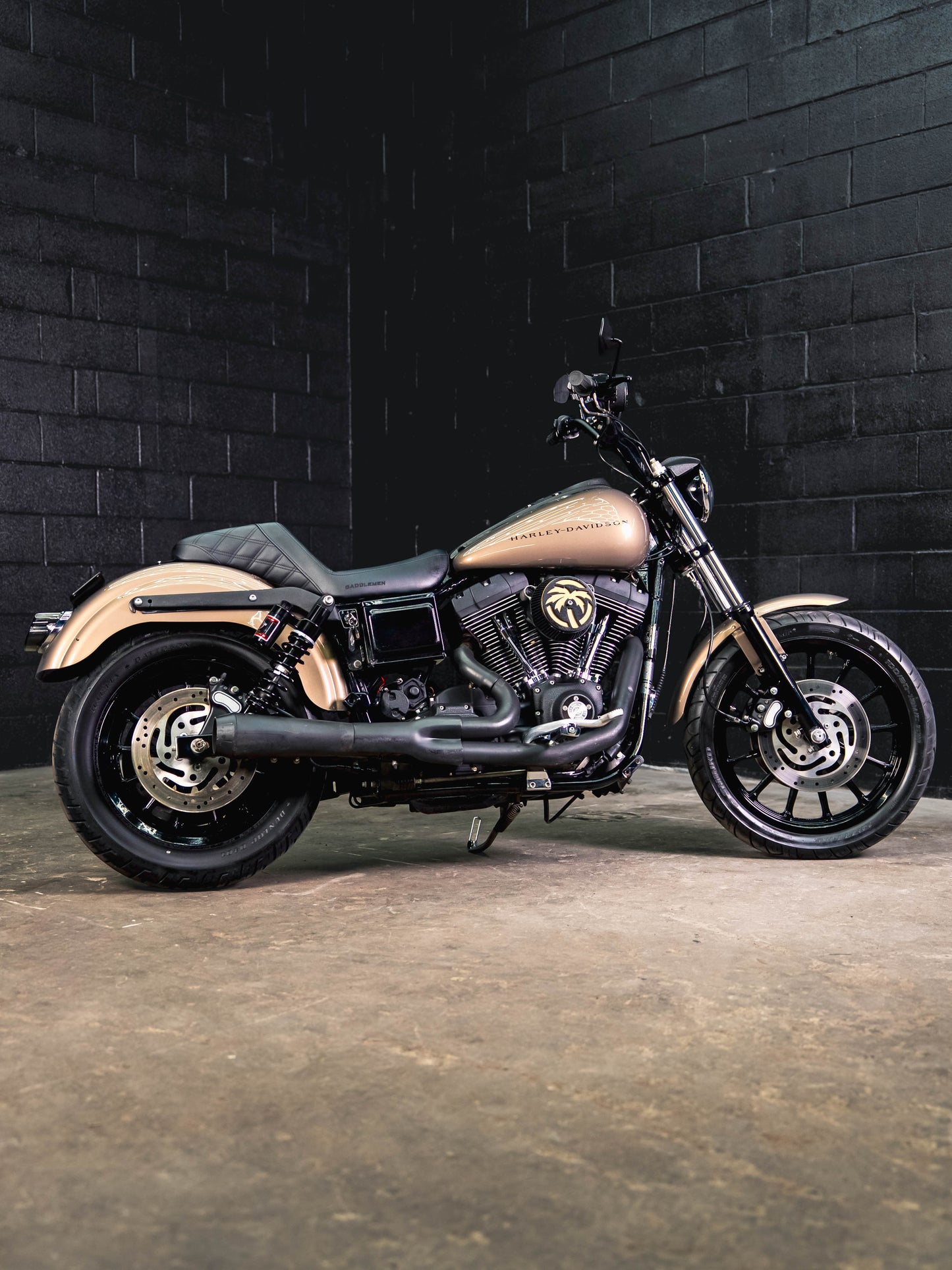 2005 FXDXi SMOKEY GOLD
