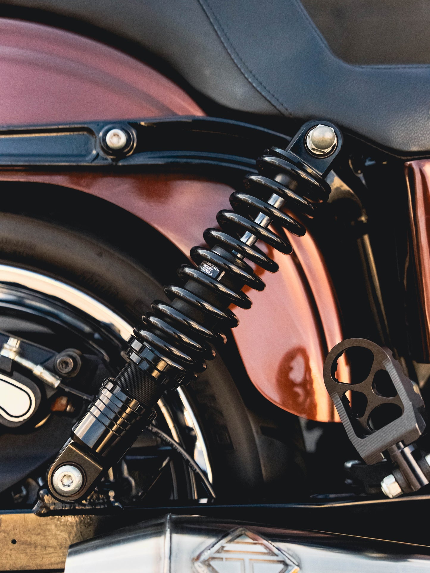 2016 FXDB