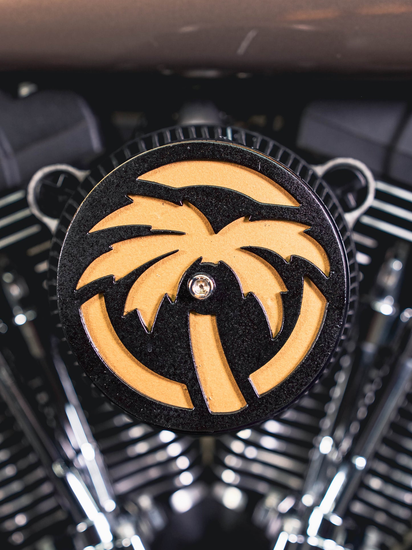 2005 FXDXi SMOKEY GOLD