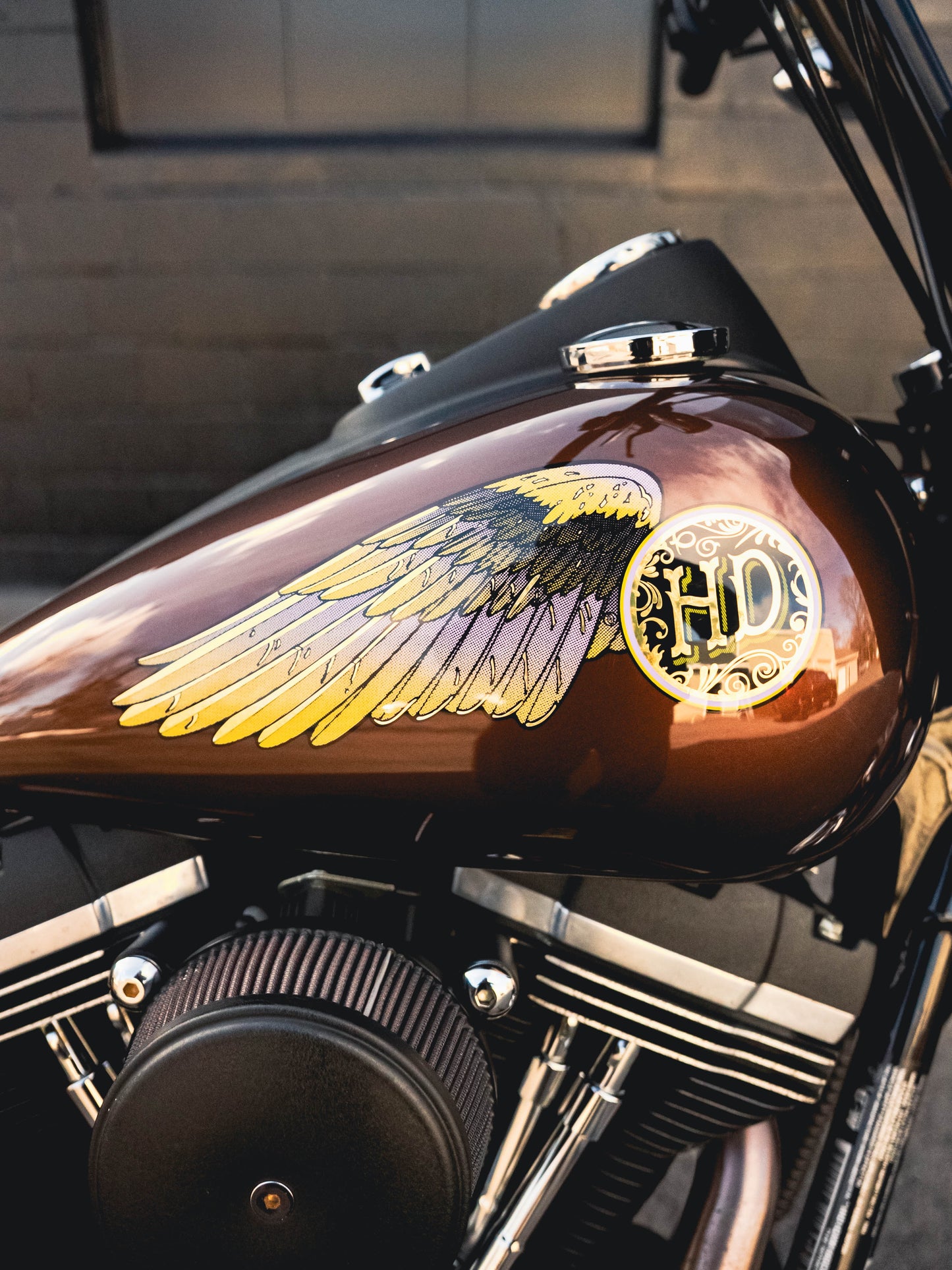 2016 FXDB