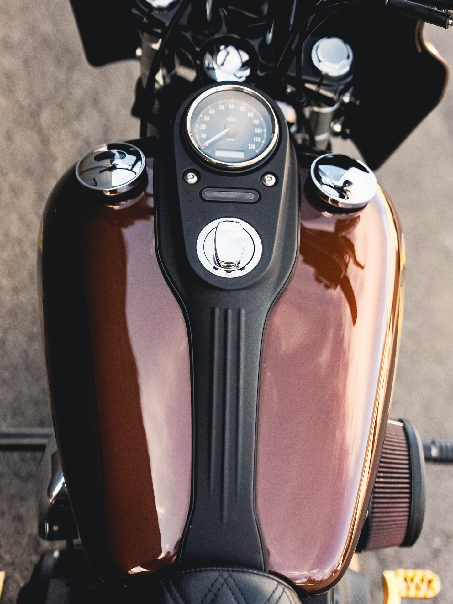 2016 FXDB