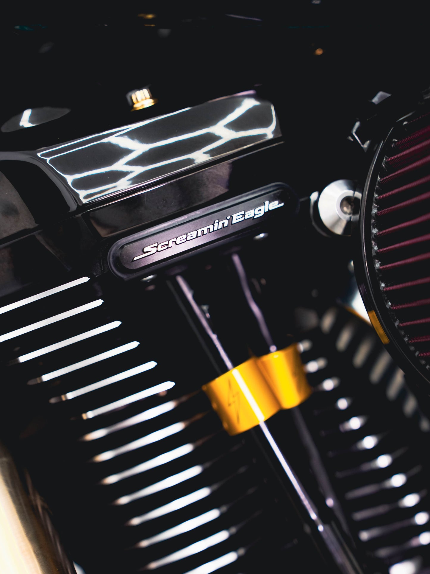 2024 RG 131" 146hp/157TQ