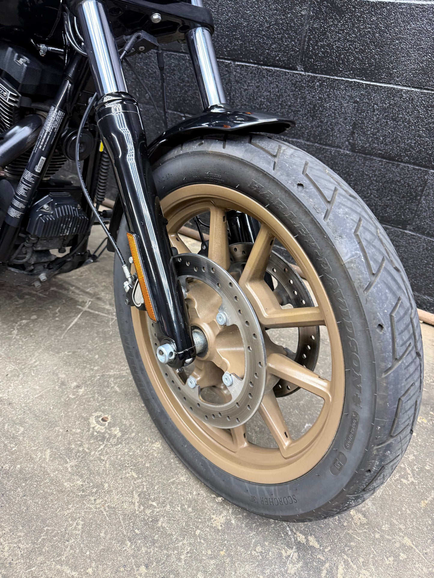 2017 FXDLS