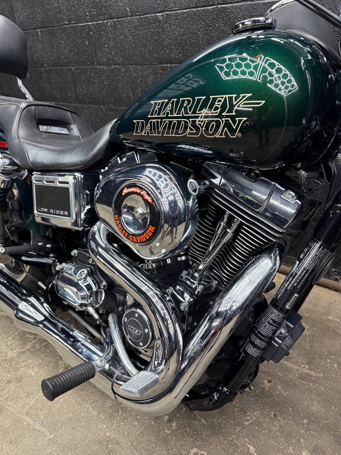 2015 FXDL Deep Jade Pearl