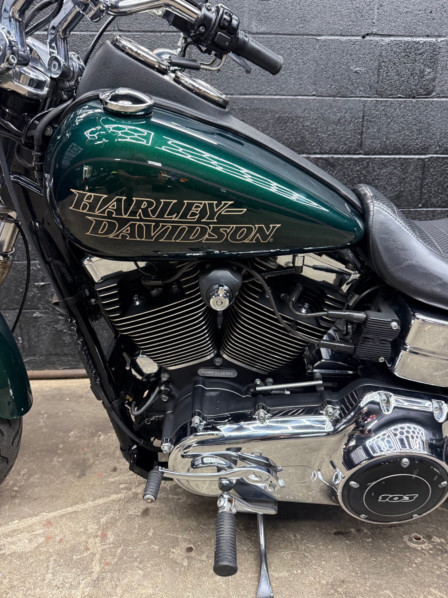 2015 FXDL Deep Jade Pearl