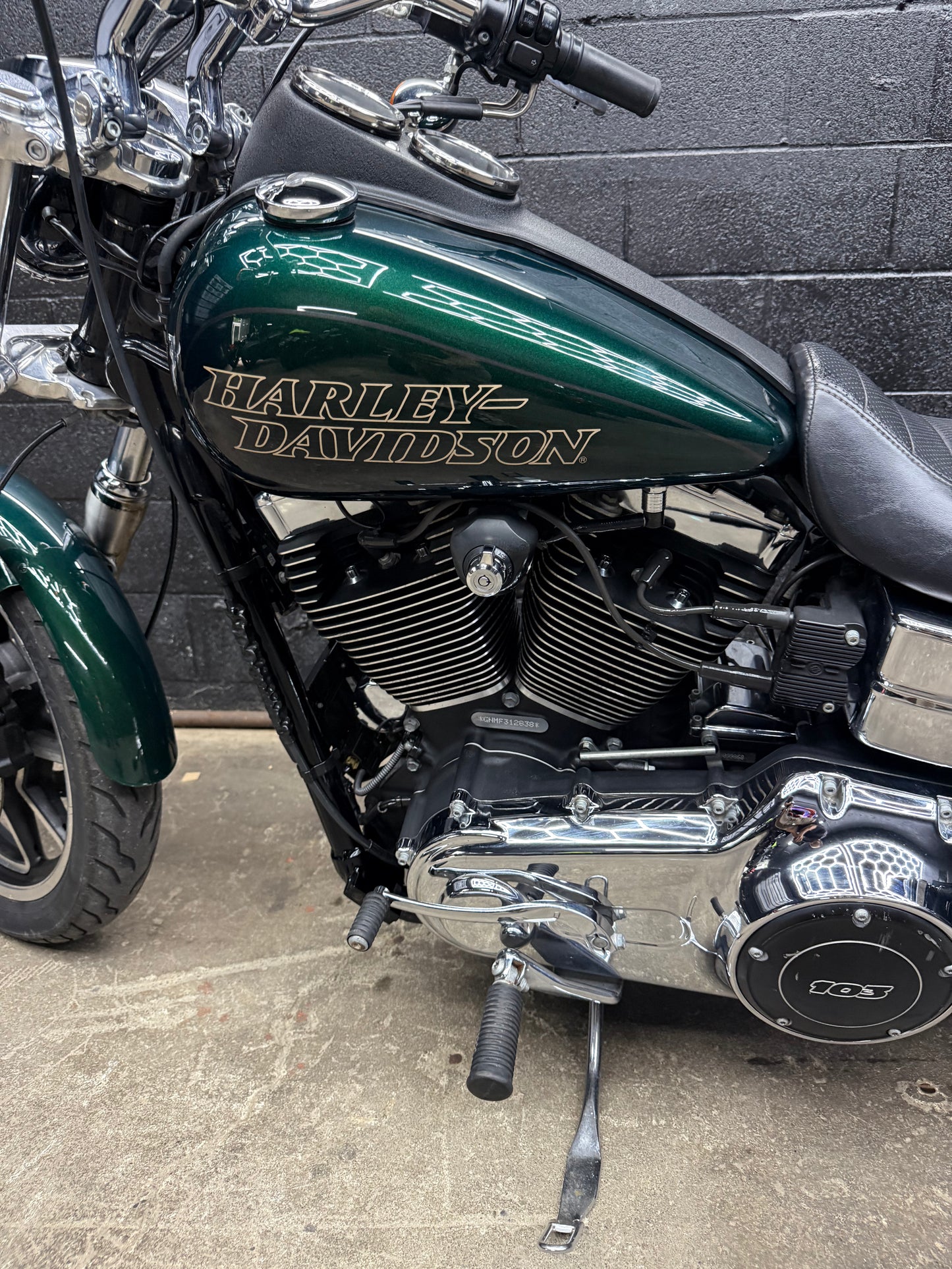 2015 FXDL Deep Jade Pearl