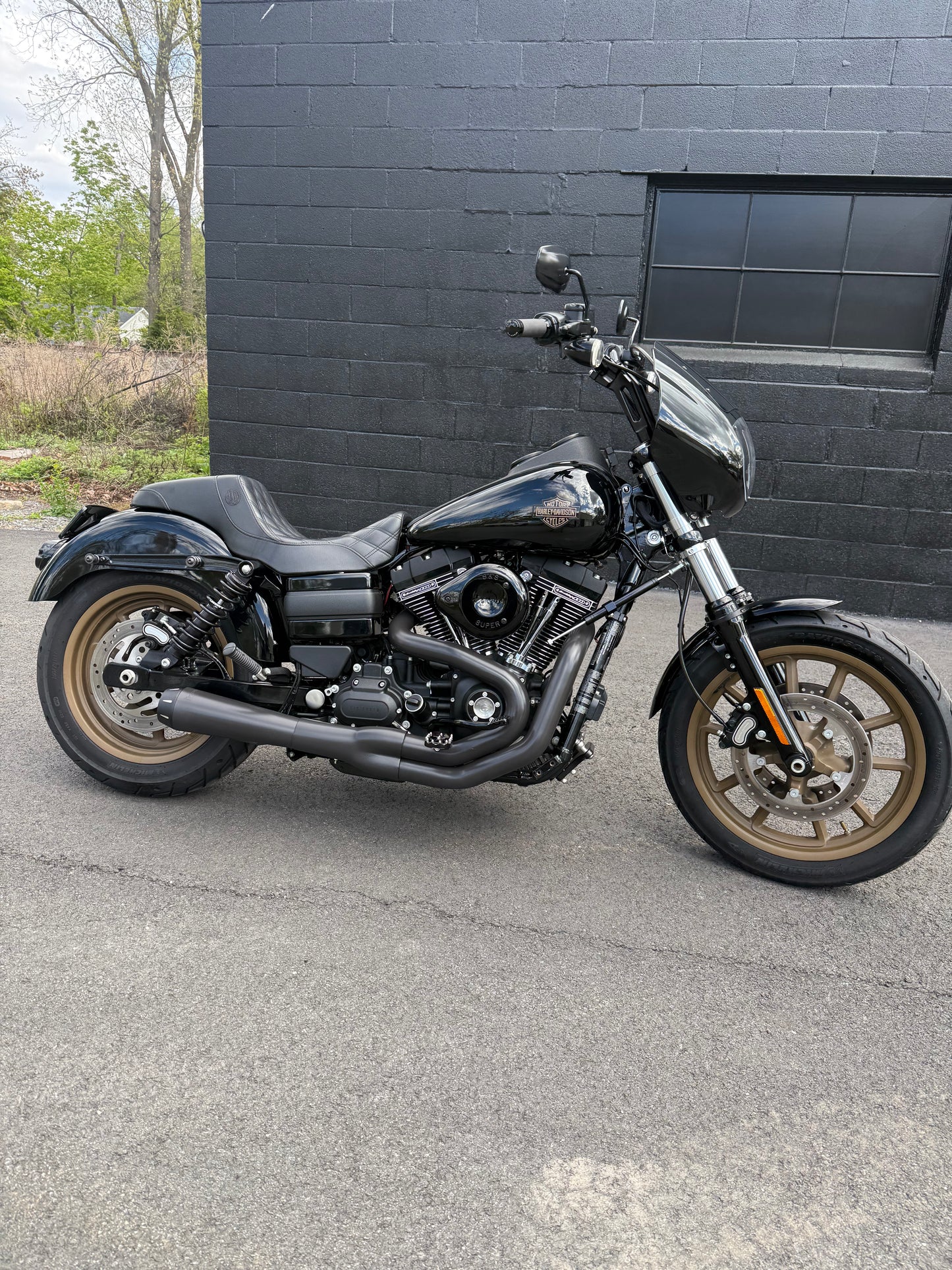 2017 FXDLS