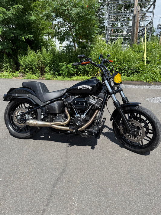 2019 FXBB