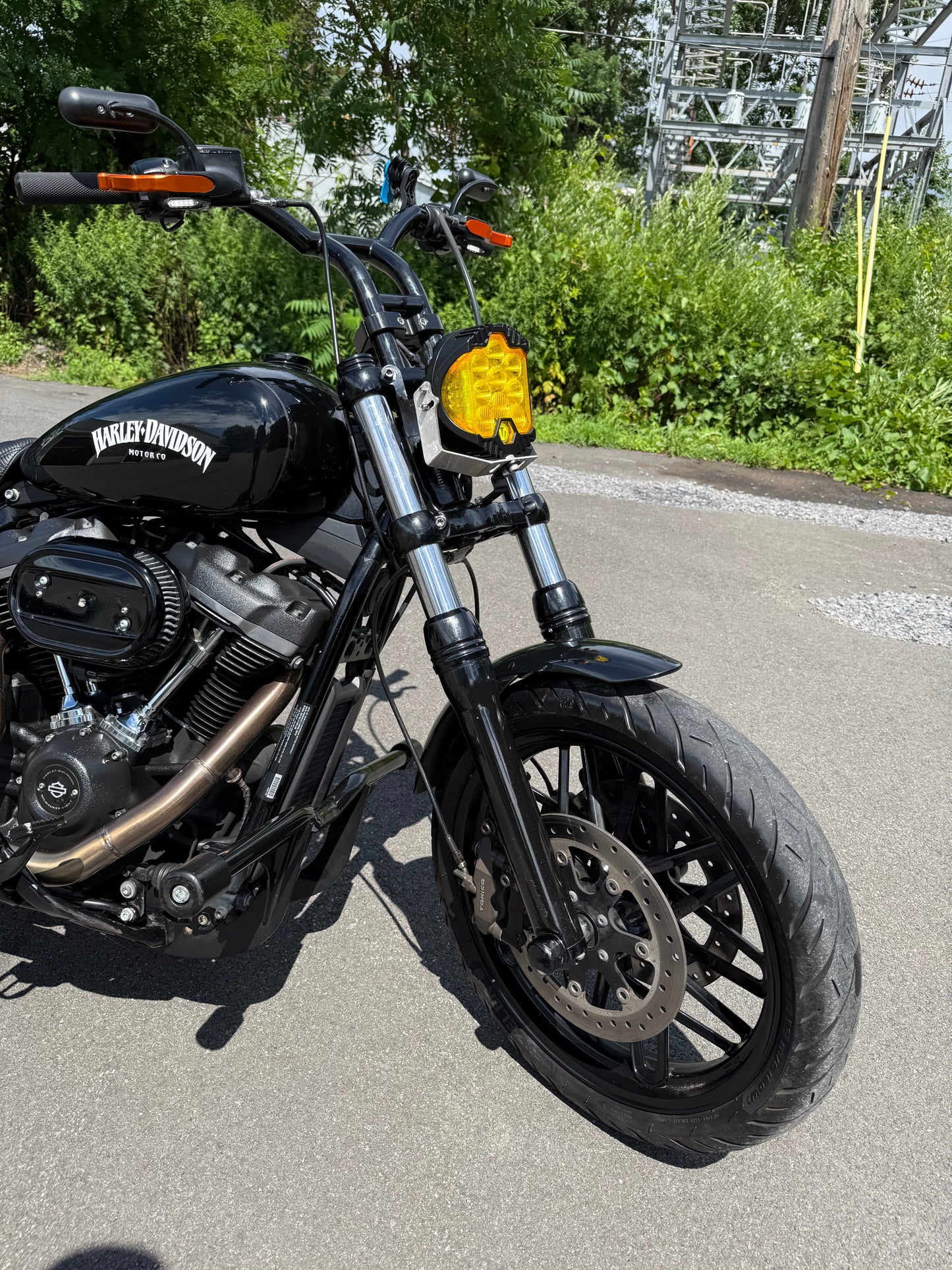 2019 FXBB