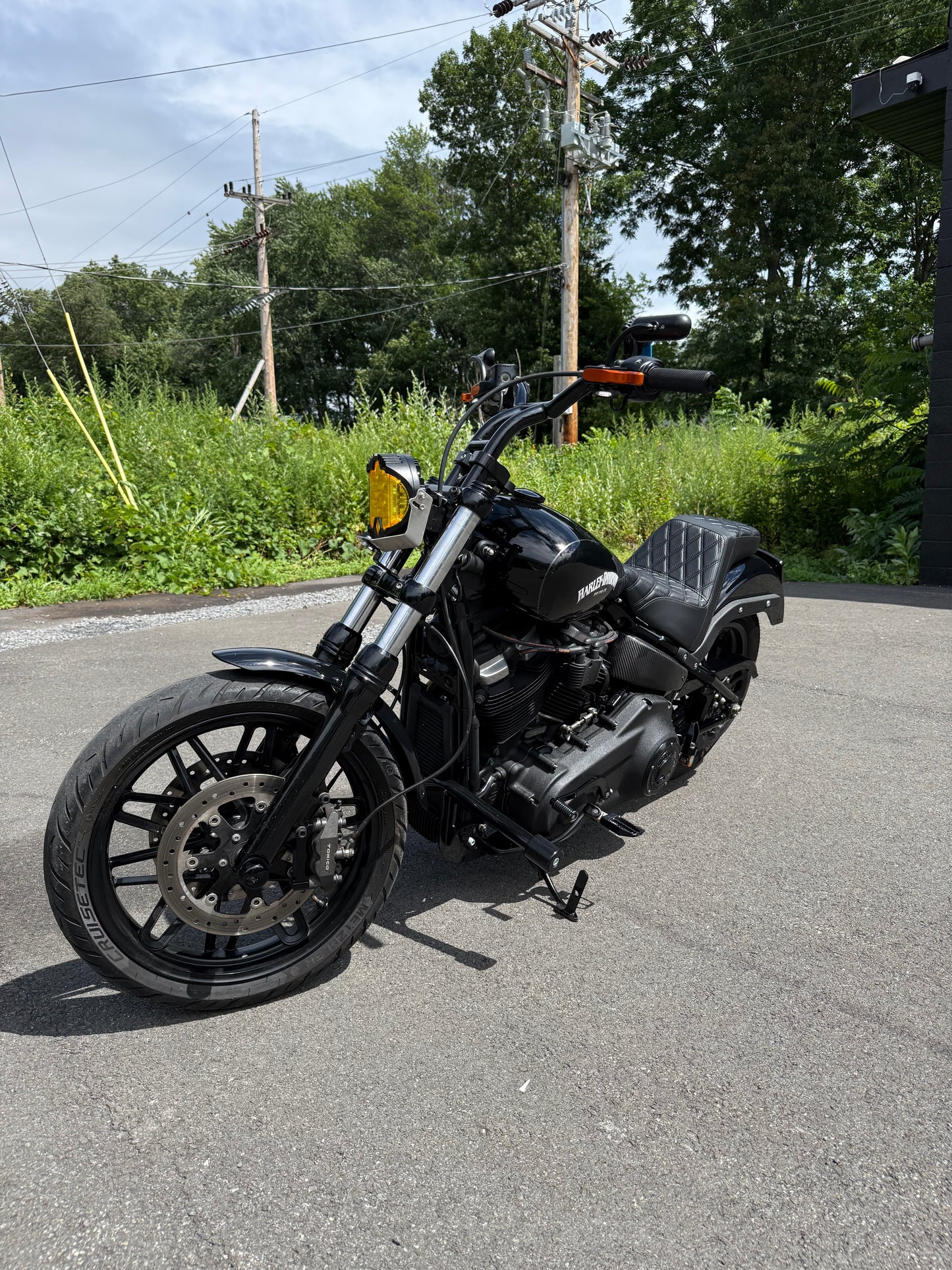 2019 FXBB