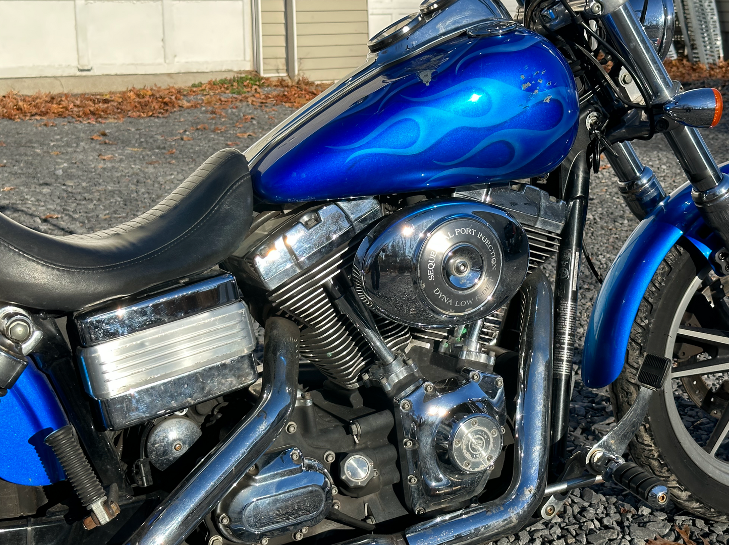 2006 FXDL