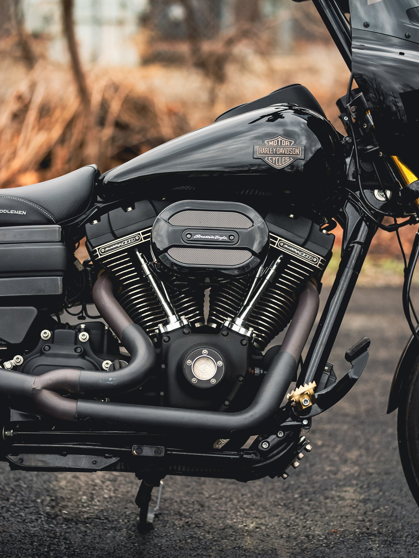 2016 FXDLS
