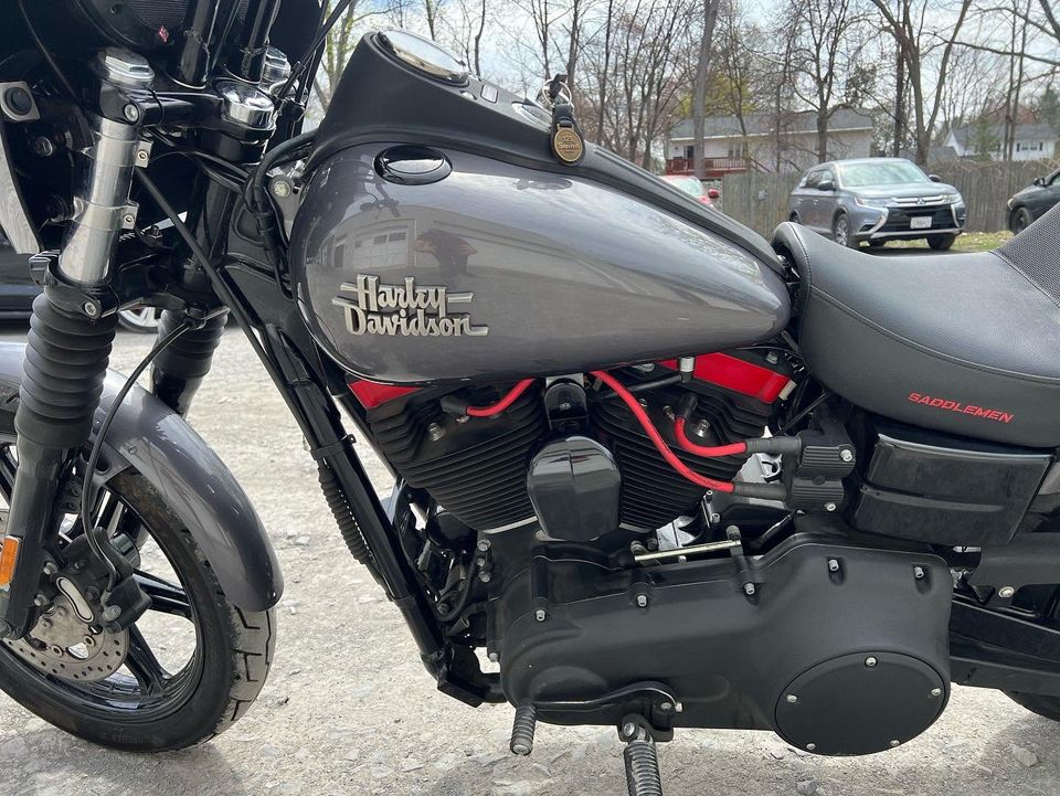 2016 FXDB